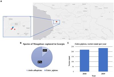 Metagenomics analysis reveals presence of the Merida-like virus in Georgia